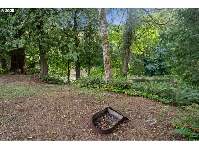 a view of a backyard with plants
