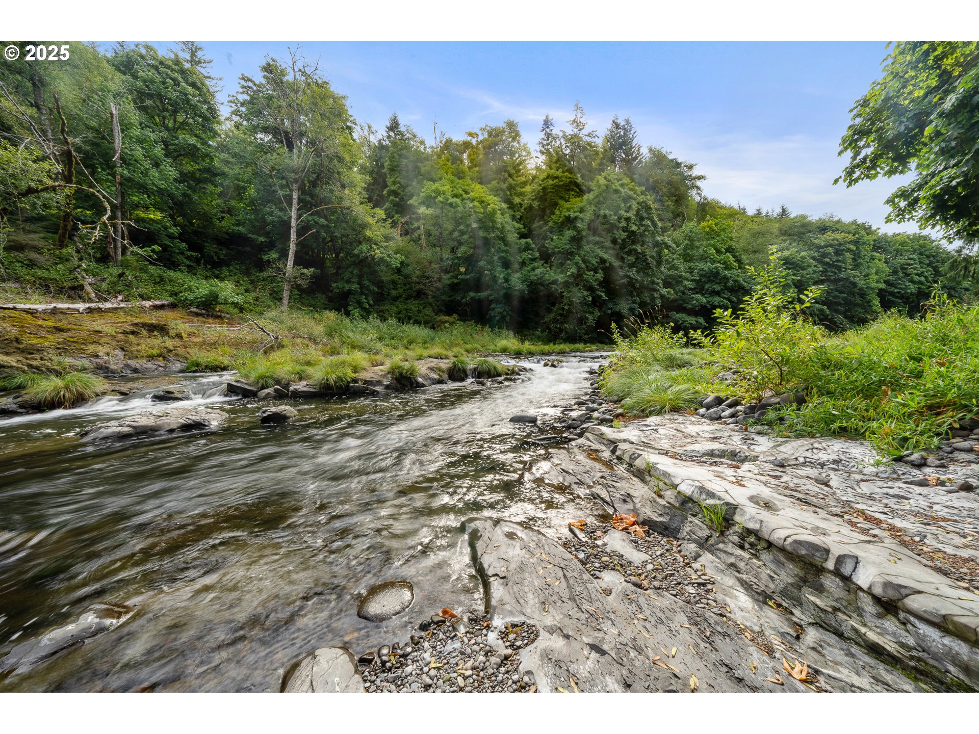 24760 Trask West Tillamook, OR 97141 - Photo 3 of 29 a view of a yard with a tree