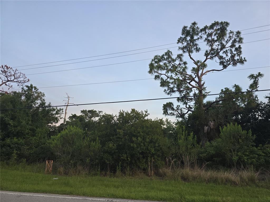 6721 Riverside Drive Punta Gorda, FL 33982 - Photo 3 of 5