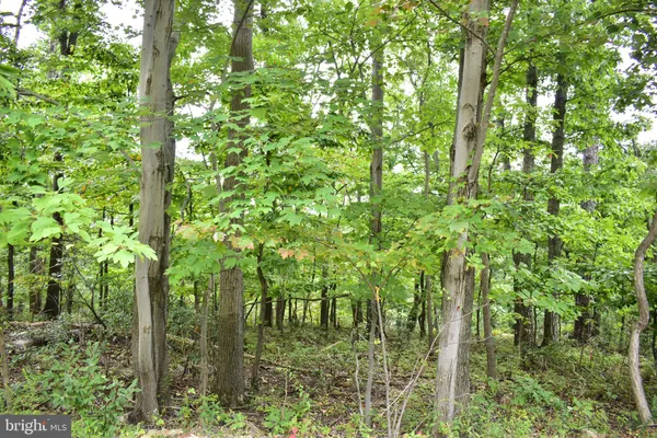 $12,900 | Lot 17 Fox Trail, Winchester, VA 22602