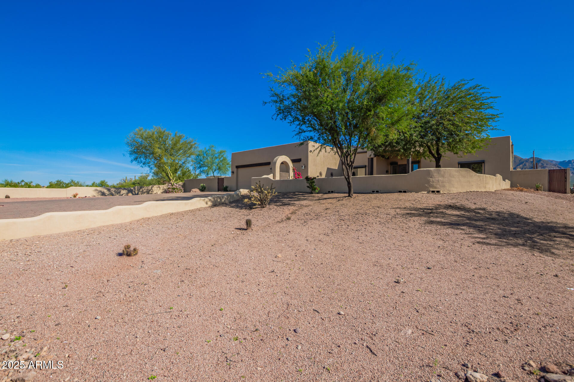945 North Mountain View Road Apache Junction, AZ 85119 - Photo 5 of 53 a palm tree sitting in front of a house with a yard