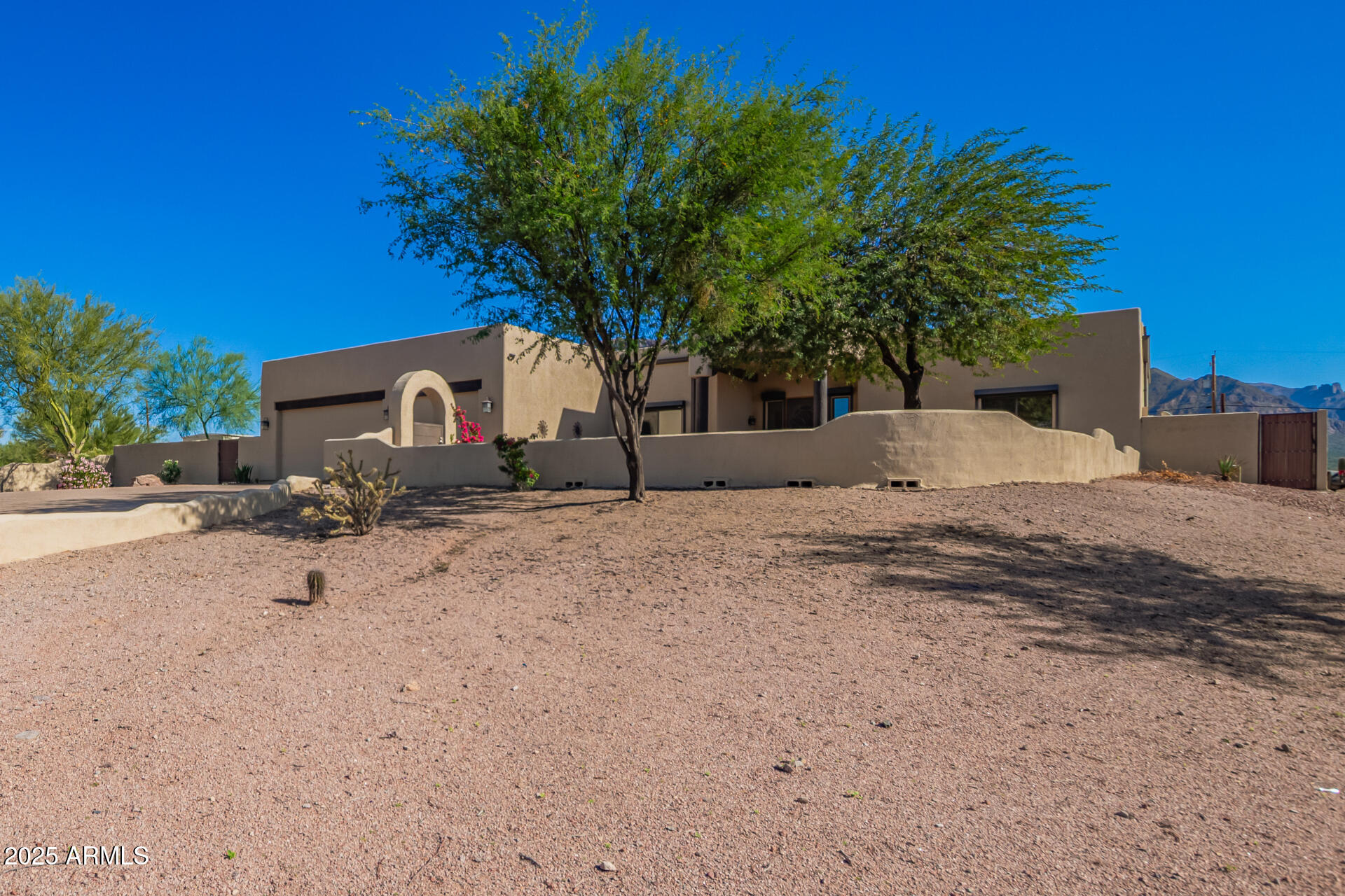 945 North Mountain View Road Apache Junction, AZ 85119 - Photo 6 of 53 a backyard of a house with a tree