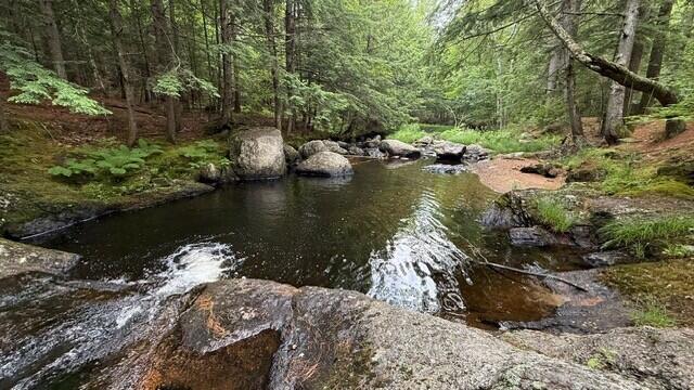 277 Buckfield Road Paris, ME 04281 - Photo 4 of 26 thumbnail_IMG_1372(1)