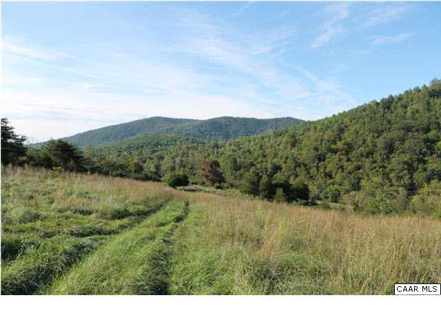 Bacon Hollow Road Dyke, VA 22935 - Photo 3 of 9 The land is about half wooded and half open and rises up from the existing home.