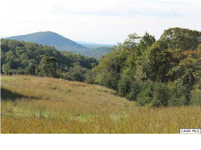 Bacon Hollow Road Dyke, VA 22935 - Photo 6 of 9 All the division rights are available so this would be a great property to develop as a family compound