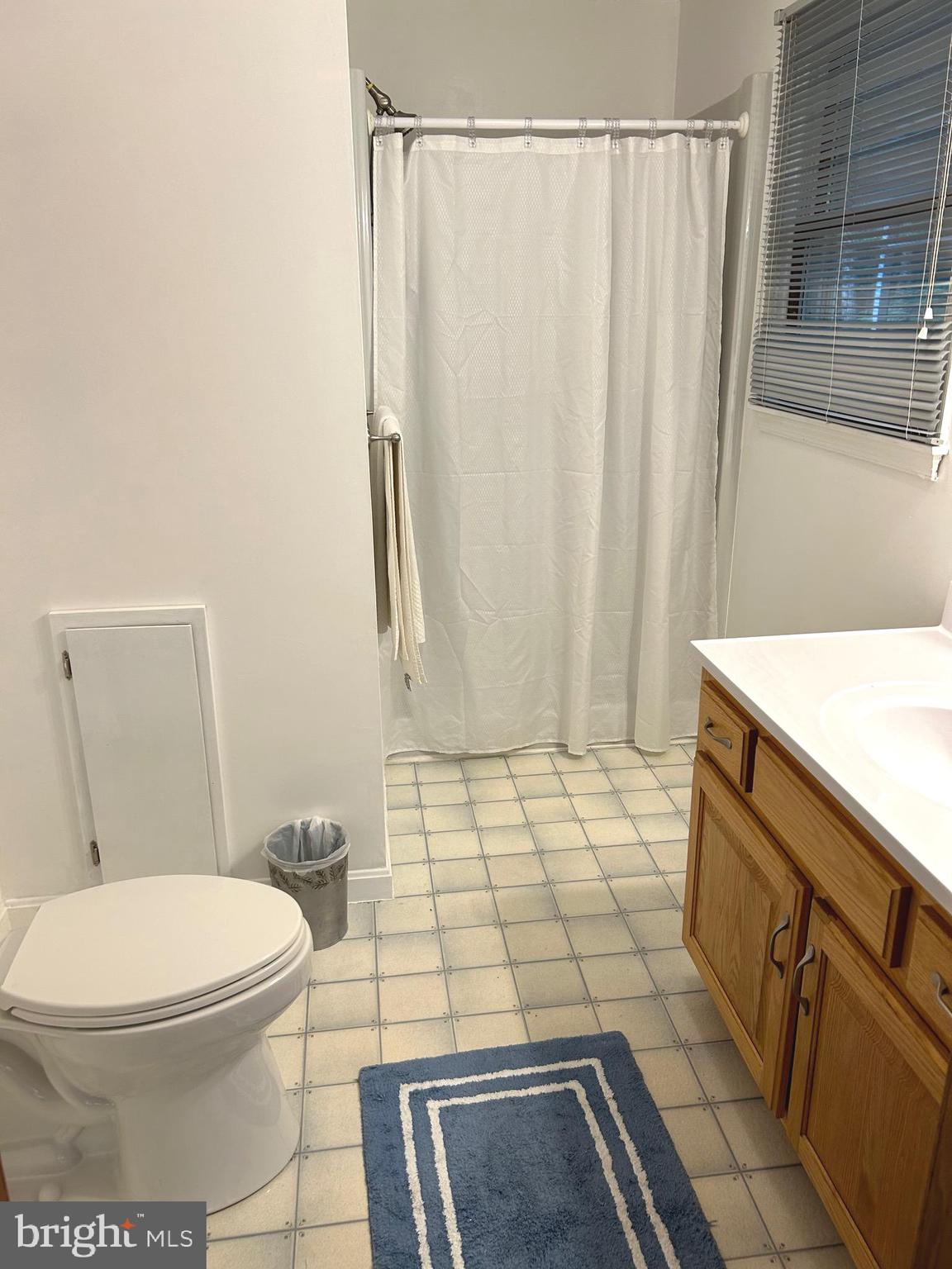 958 Nottingham Road Elkton, MD 21921 - Photo 11 of 33 Main bath with shower