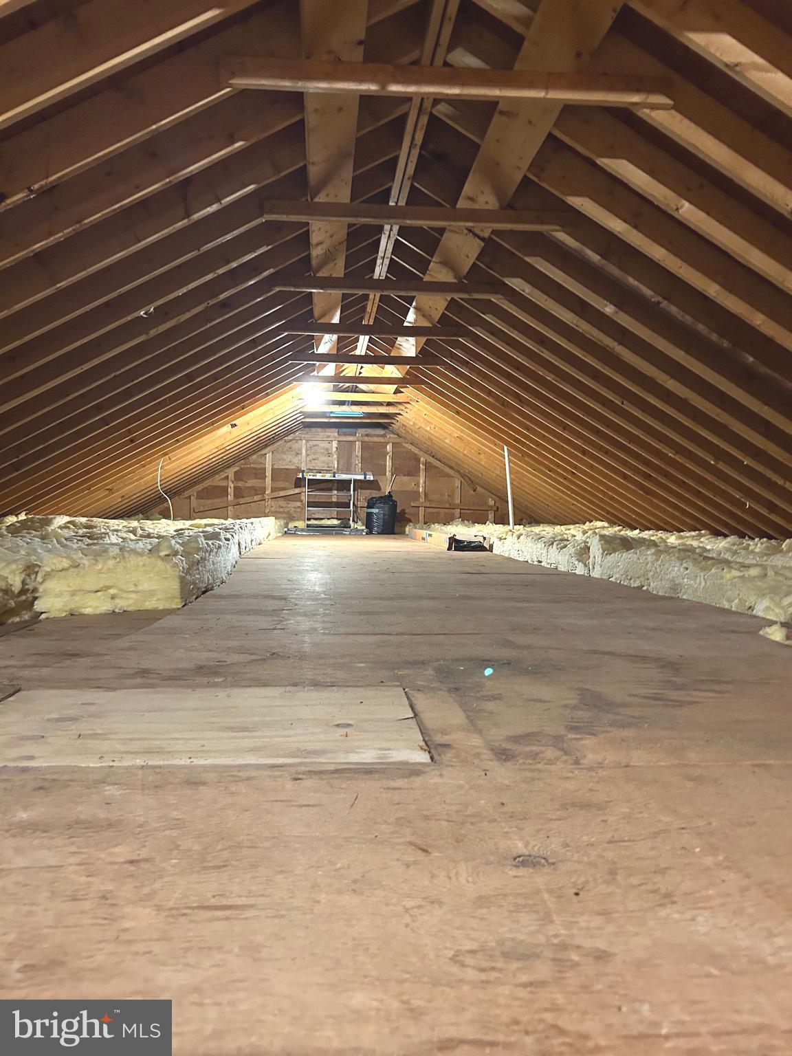 958 Nottingham Road Elkton, MD 21921 - Photo 30 of 33 Huge attic with pull down stairs