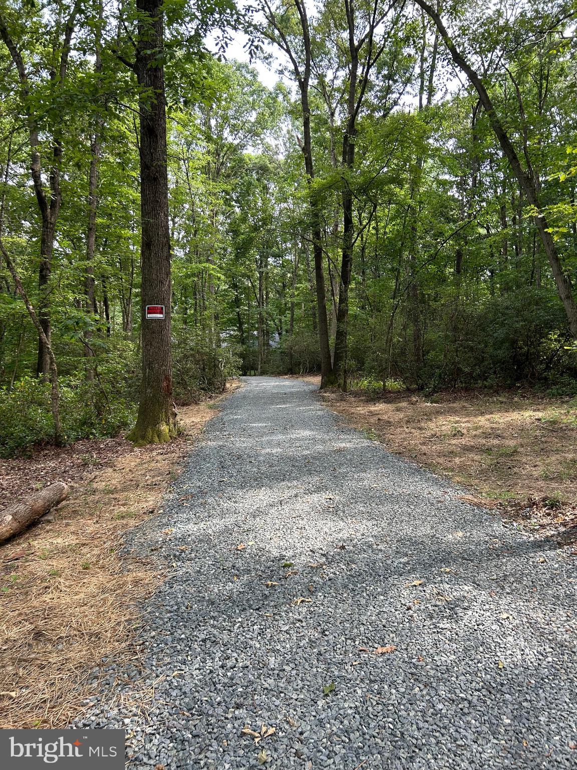 Long approximate 400’ stone driveway