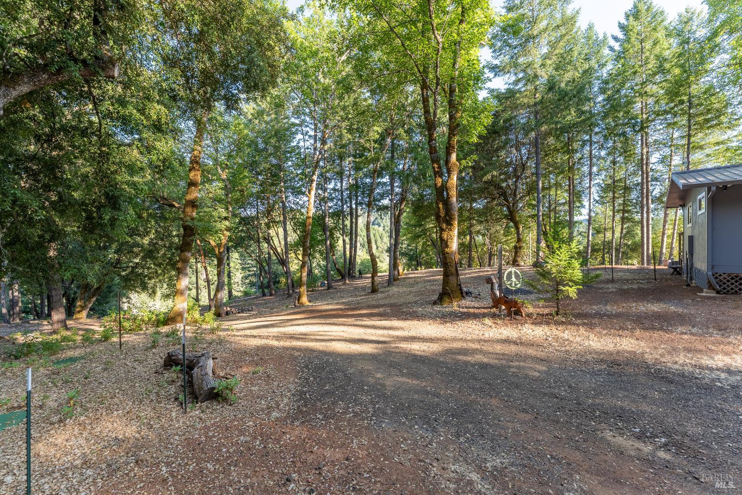 3770 Cherry Creek Road Willits, CA 95490 - Photo 22 of 30