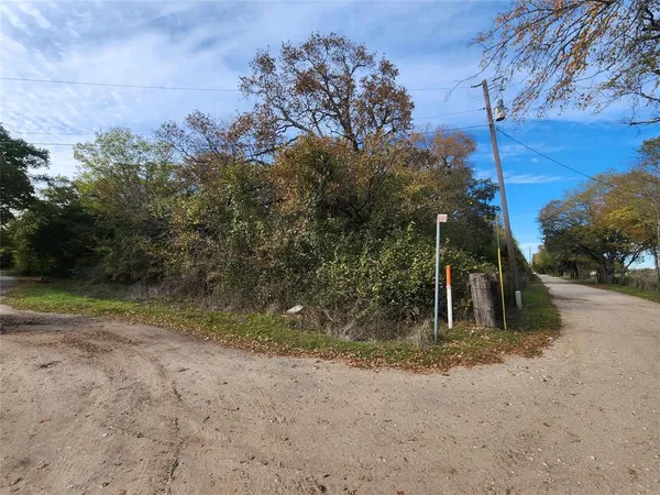 a view of a field with trees in the background