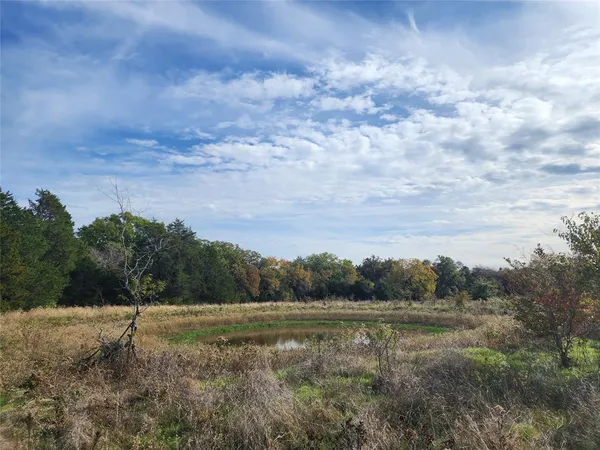 a view of a lush green space