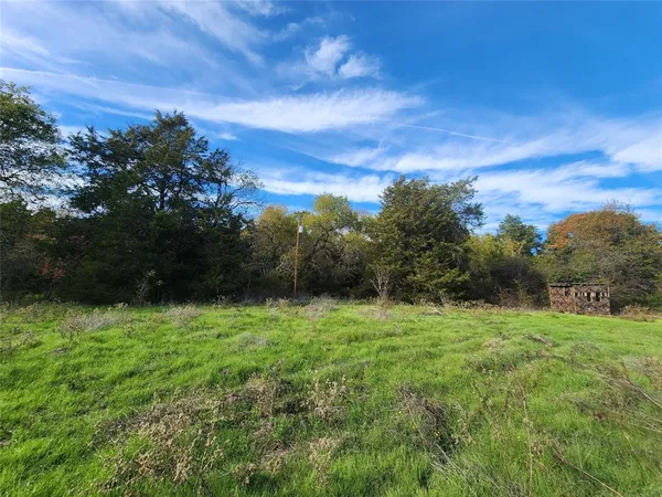 a view of a lush green outdoor space with a lake view