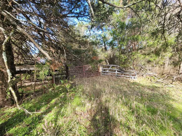 a view of a yard with a tree