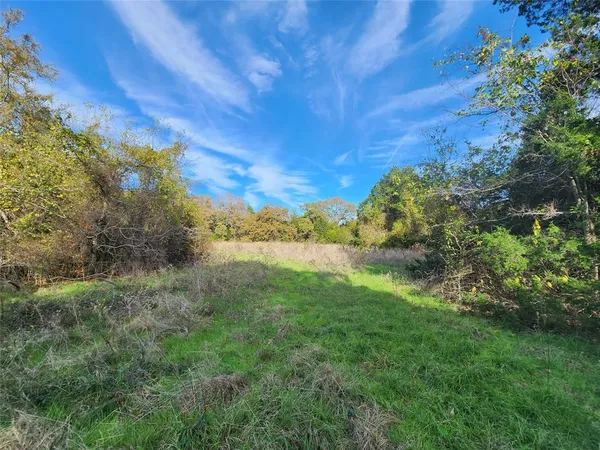 a view of a green field