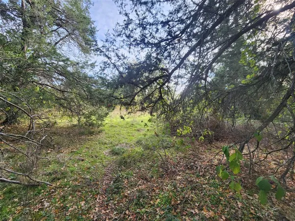 a backyard of a house with plants and outdoor space