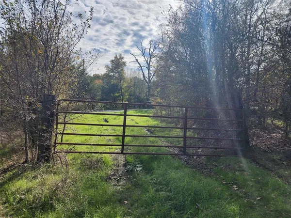 a view of a wooden bench sitting in the middle of a forest