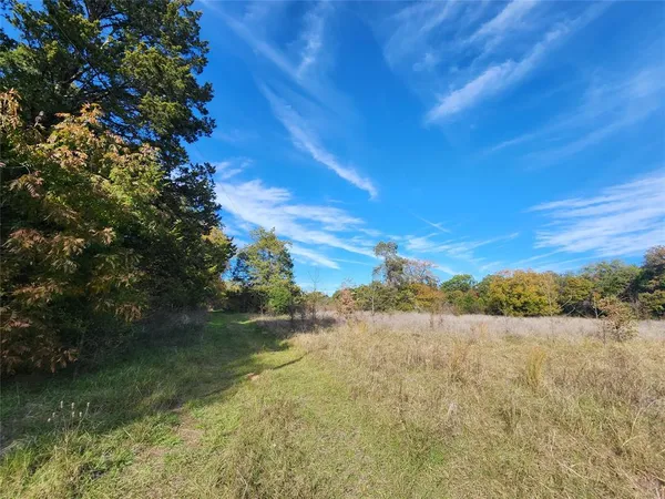 a view of mountain view with lots of trees