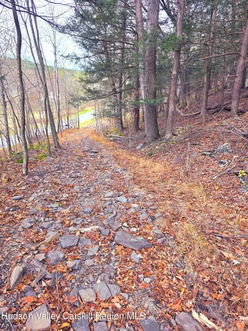 a view of a yard with trees