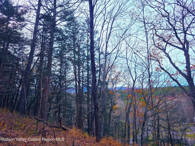 a view of a covered with trees in the background
