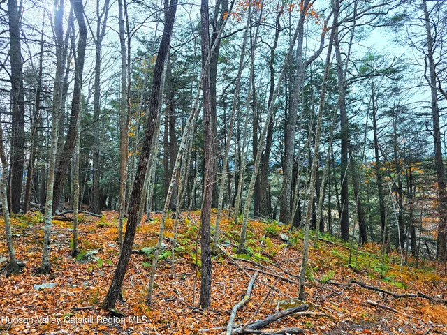 $229,000 | 0 County Route 41, Freehold, NY 12431