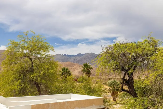 a view of a yard with a tree
