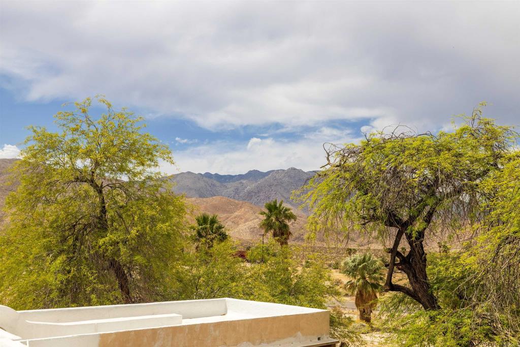 3211 Broken Arrow Road Borrego Springs, CA 92004 - Photo 29 of 46 a view of a yard