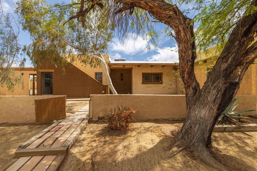 3211 Broken Arrow Road Borrego Springs, CA 92004 - Photo 31 of 46 a view of a yard with a tree