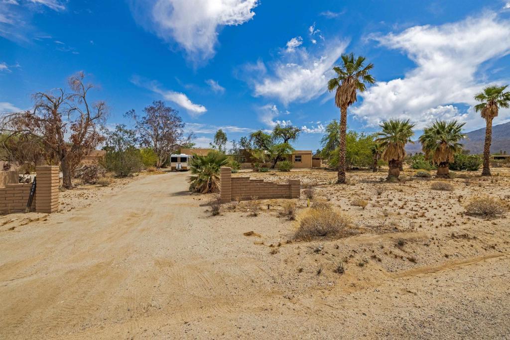 3211 Broken Arrow Road Borrego Springs, CA 92004 - Photo 40 of 46 a view of a yard with a tree