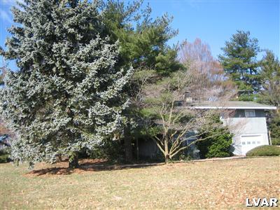 640 Bok Road Nazareth, PA 18064 - Photo 28 of 28 a view of outdoor space yard and tree