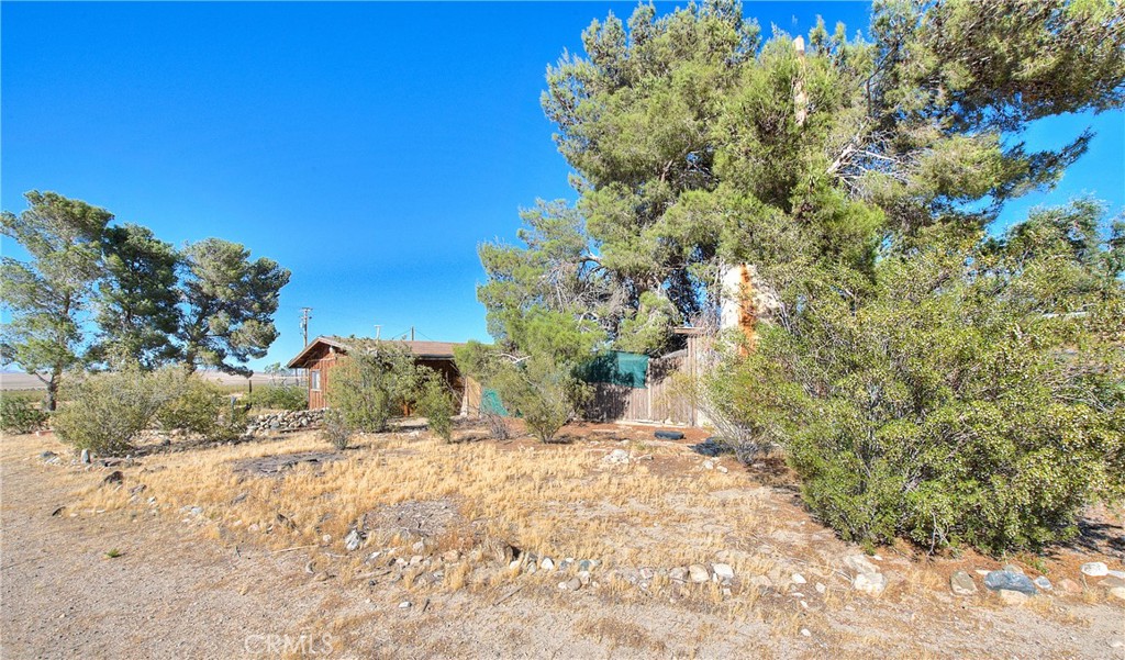 45757 Paddington Road Lucerne Valley, CA 92356 - Photo 15 of 18 a view of a yard with trees