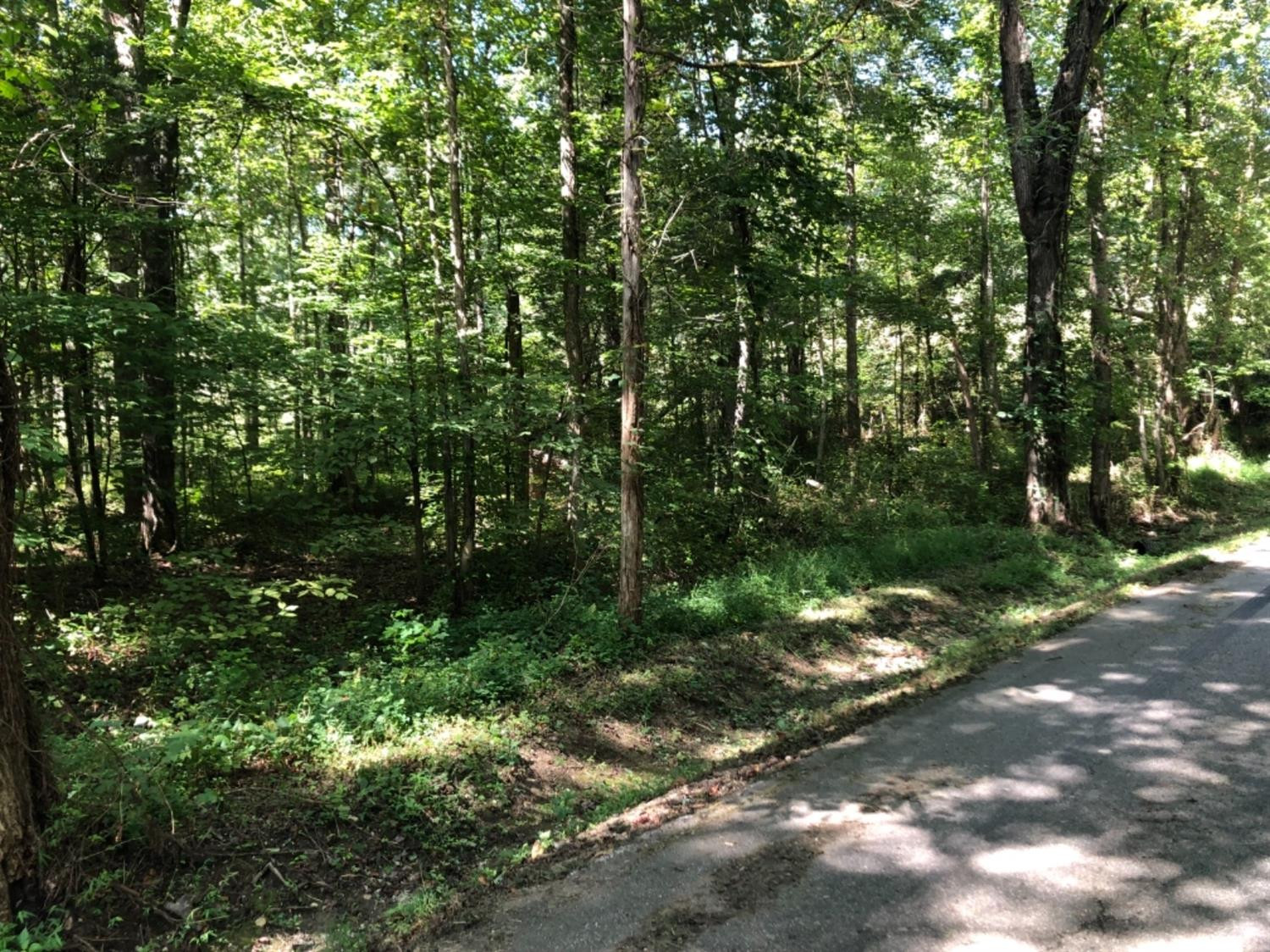 2211 Lower Licking Road Morehead, KY 40351 - Photo 14 of 18 Photo 14