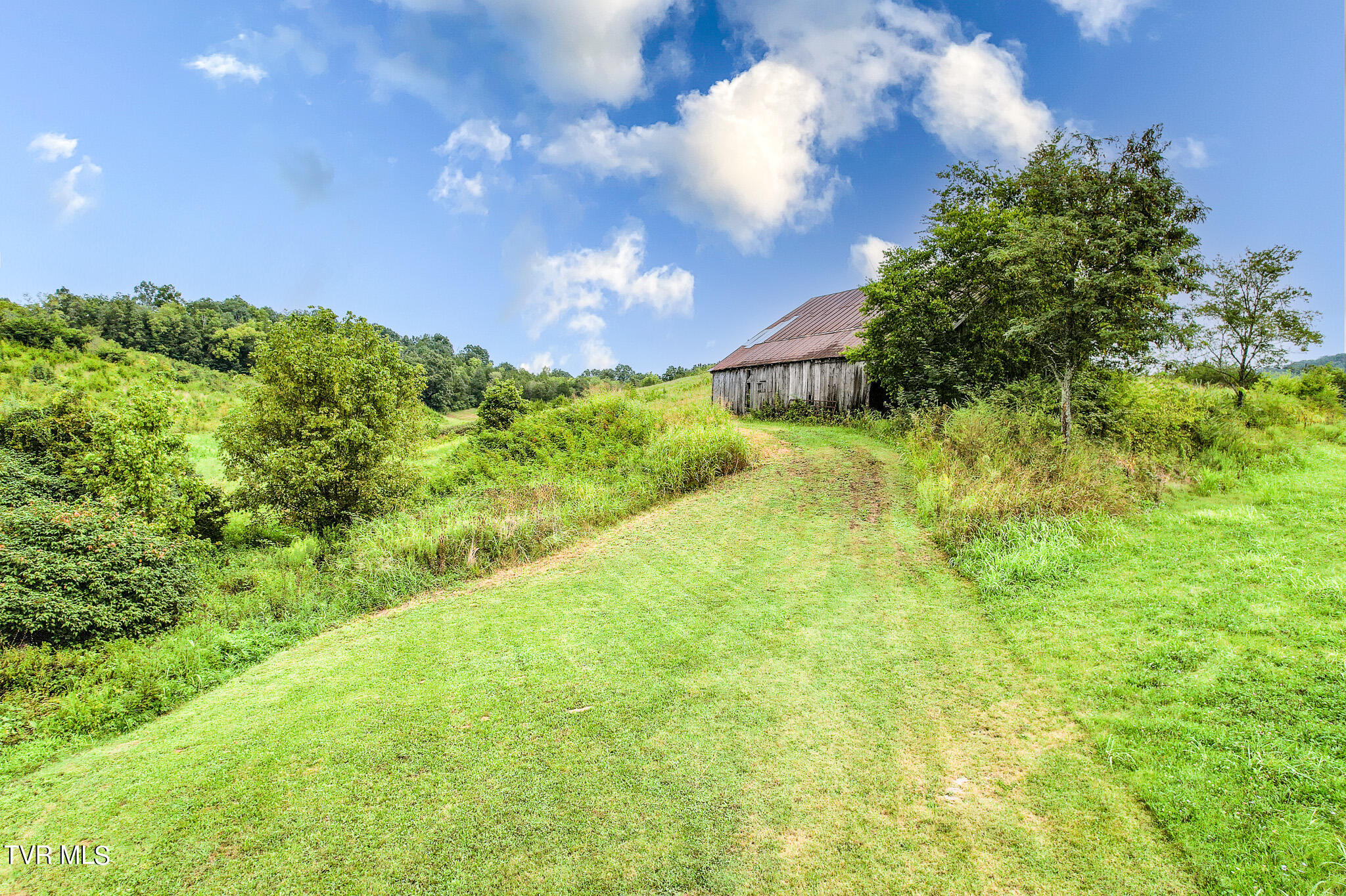 13.03 Baileyton Road Greeneville, TN 37745 - Photo 1 of 34 DJI_0761-Edit