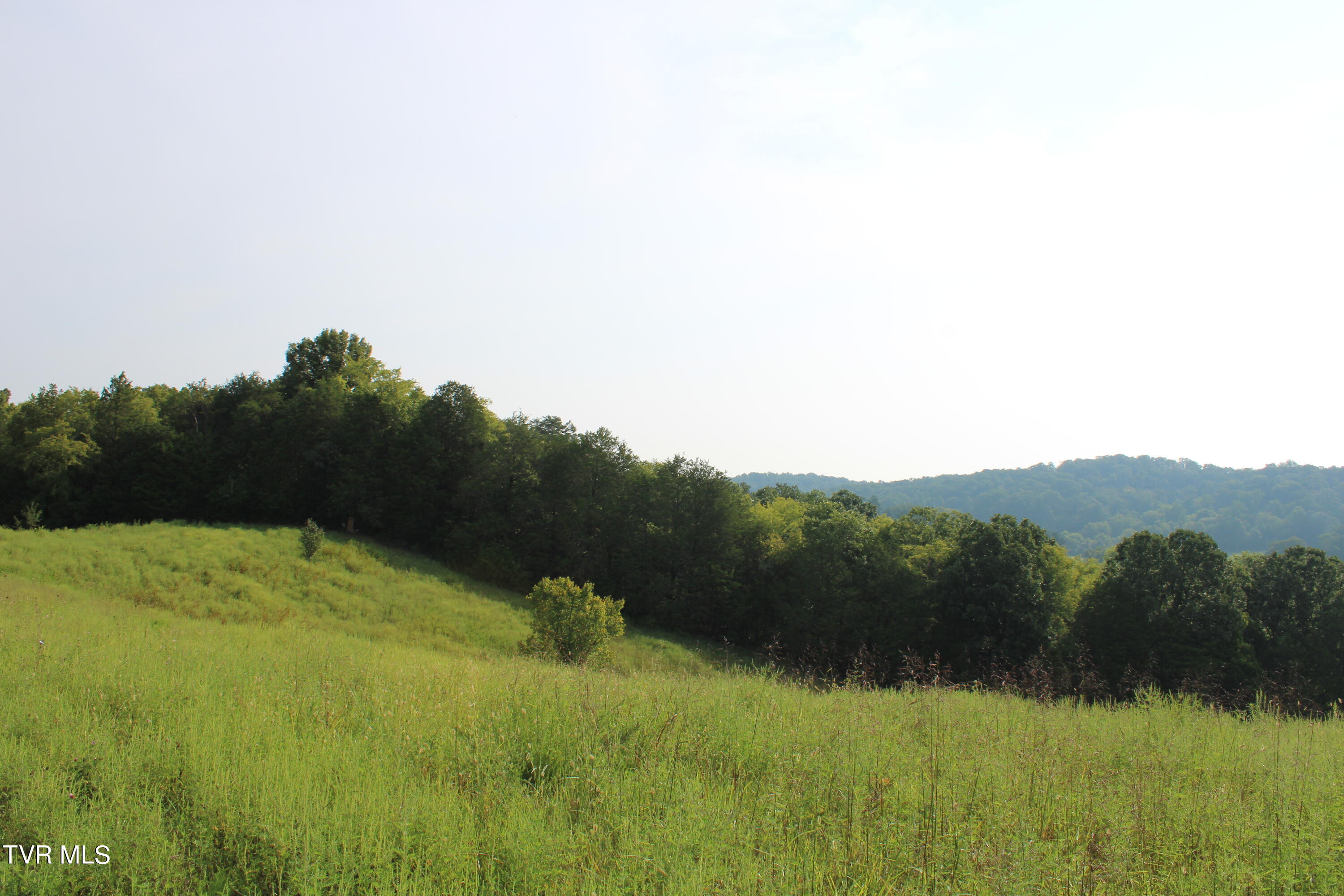13.03 Baileyton Road Greeneville, TN 37745 - Photo 23 of 34 IMG_1894
