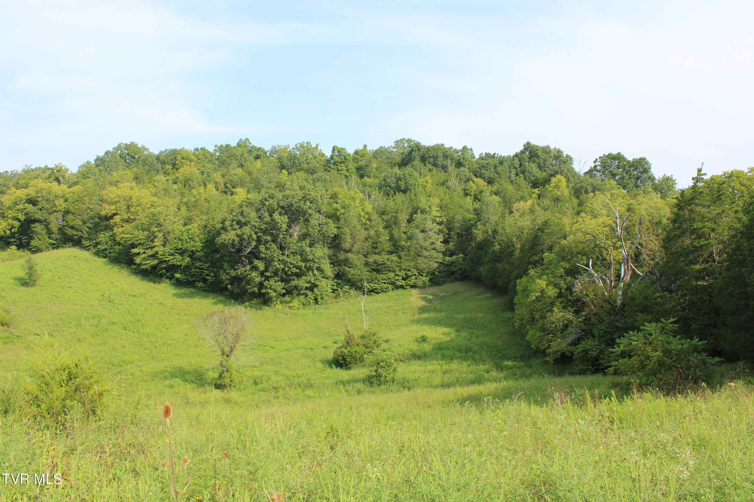 13.03 Baileyton Road Greeneville, TN 37745 - Photo 24 of 34 IMG_1899