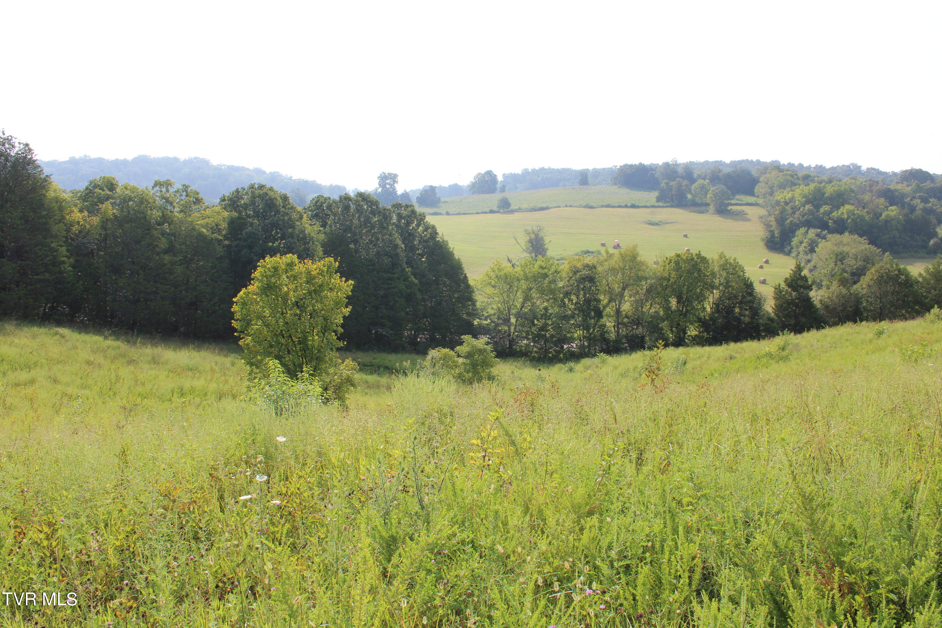 13.03 Baileyton Road Greeneville, TN 37745 - Photo 27 of 34 IMG_1903