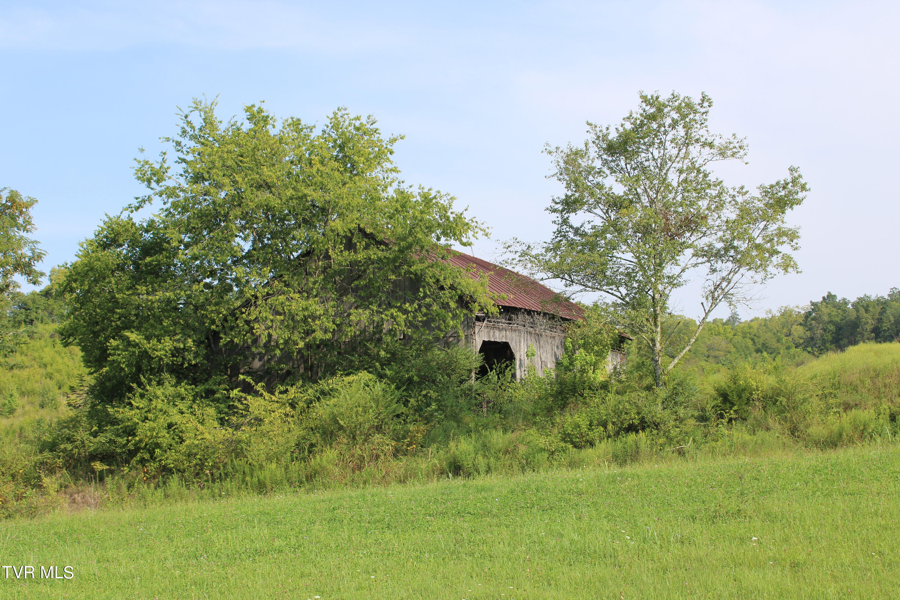 13.03 Baileyton Road Greeneville, TN 37745 - Photo 33 of 34 IMG_1912