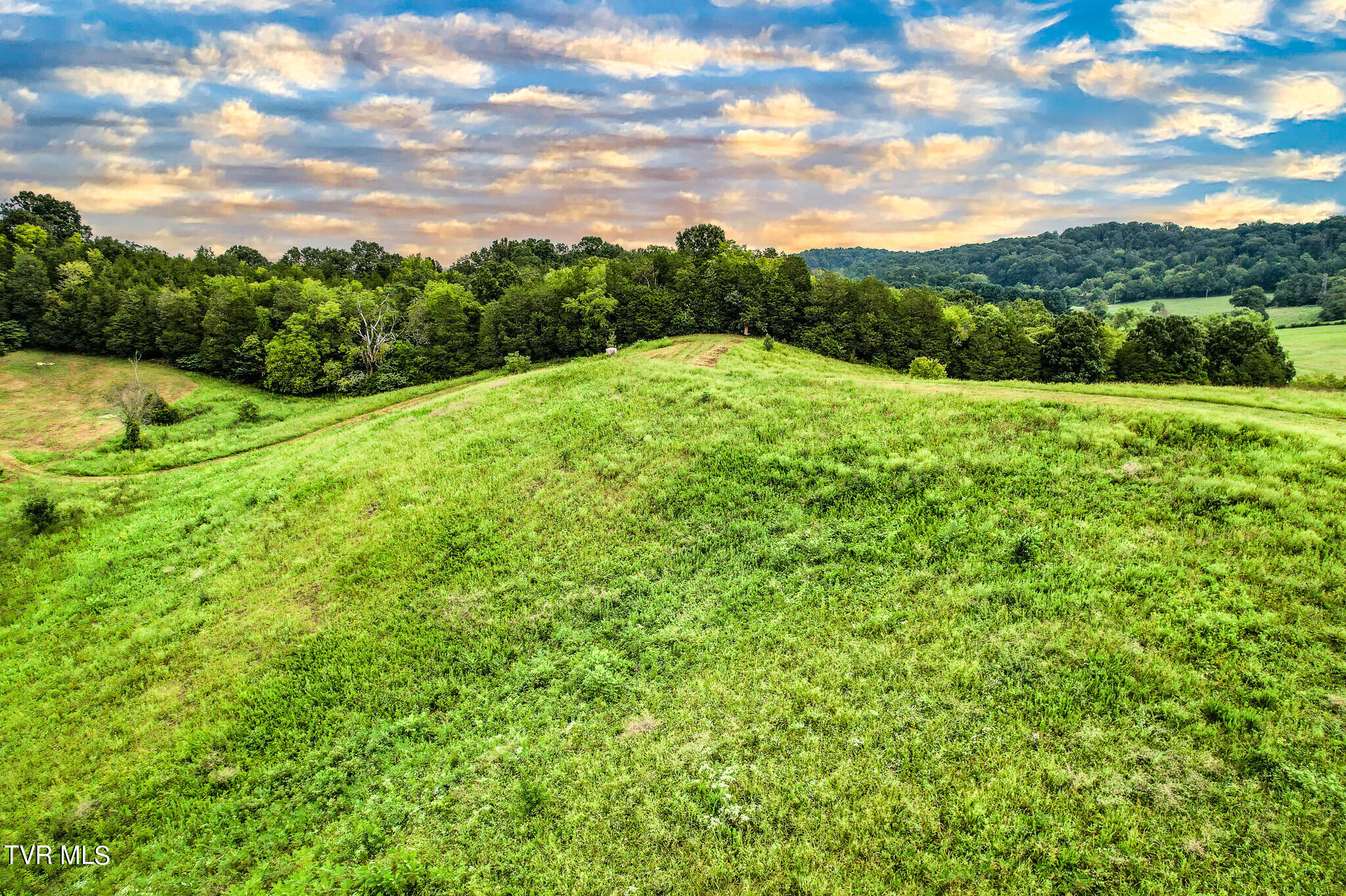 13.03 Baileyton Road Greeneville, TN 37745 - Photo 5 of 34 DJI_0789-Edit