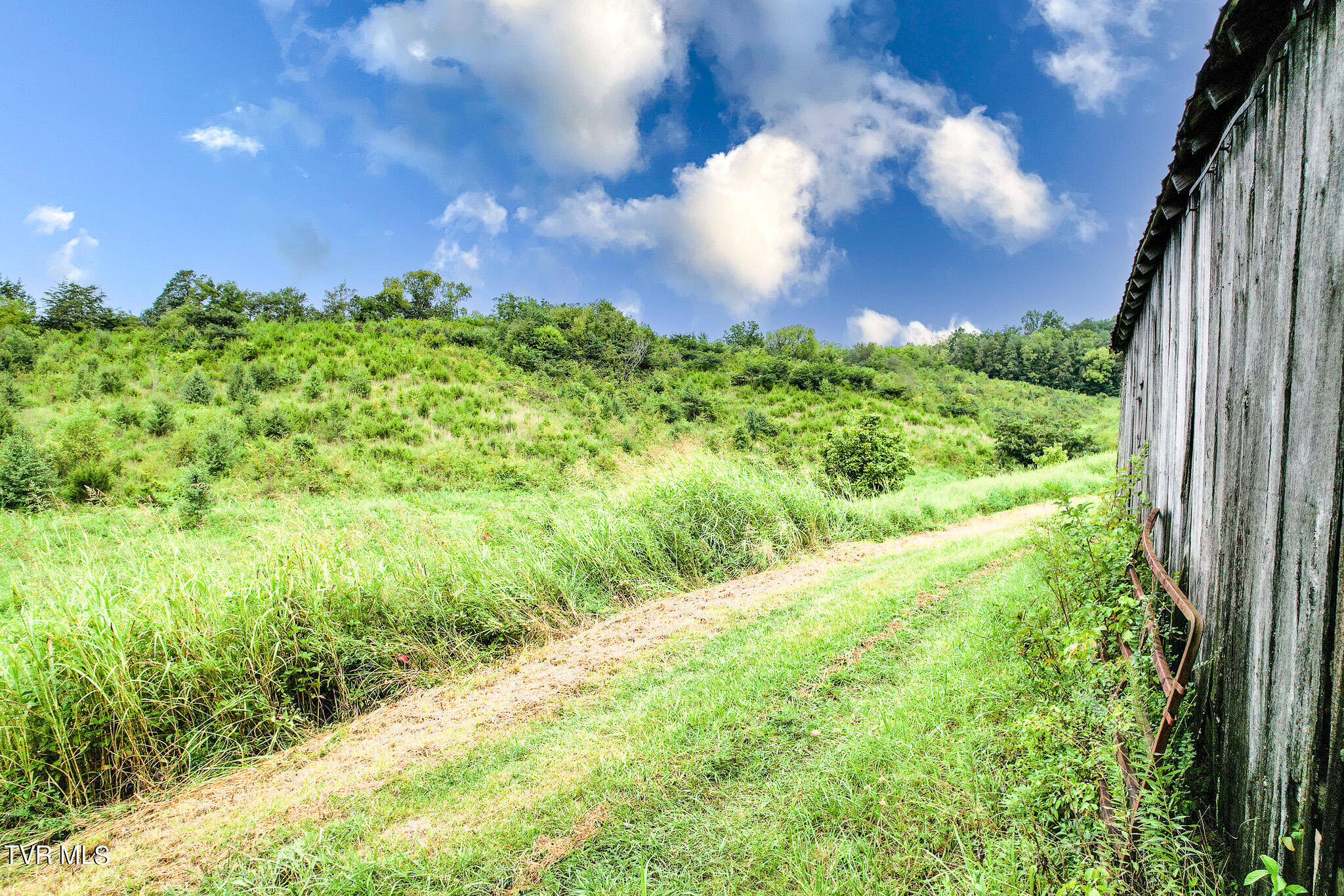 13.03 Baileyton Road Greeneville, TN 37745 - Photo 7 of 34 DJI_0816-Edit