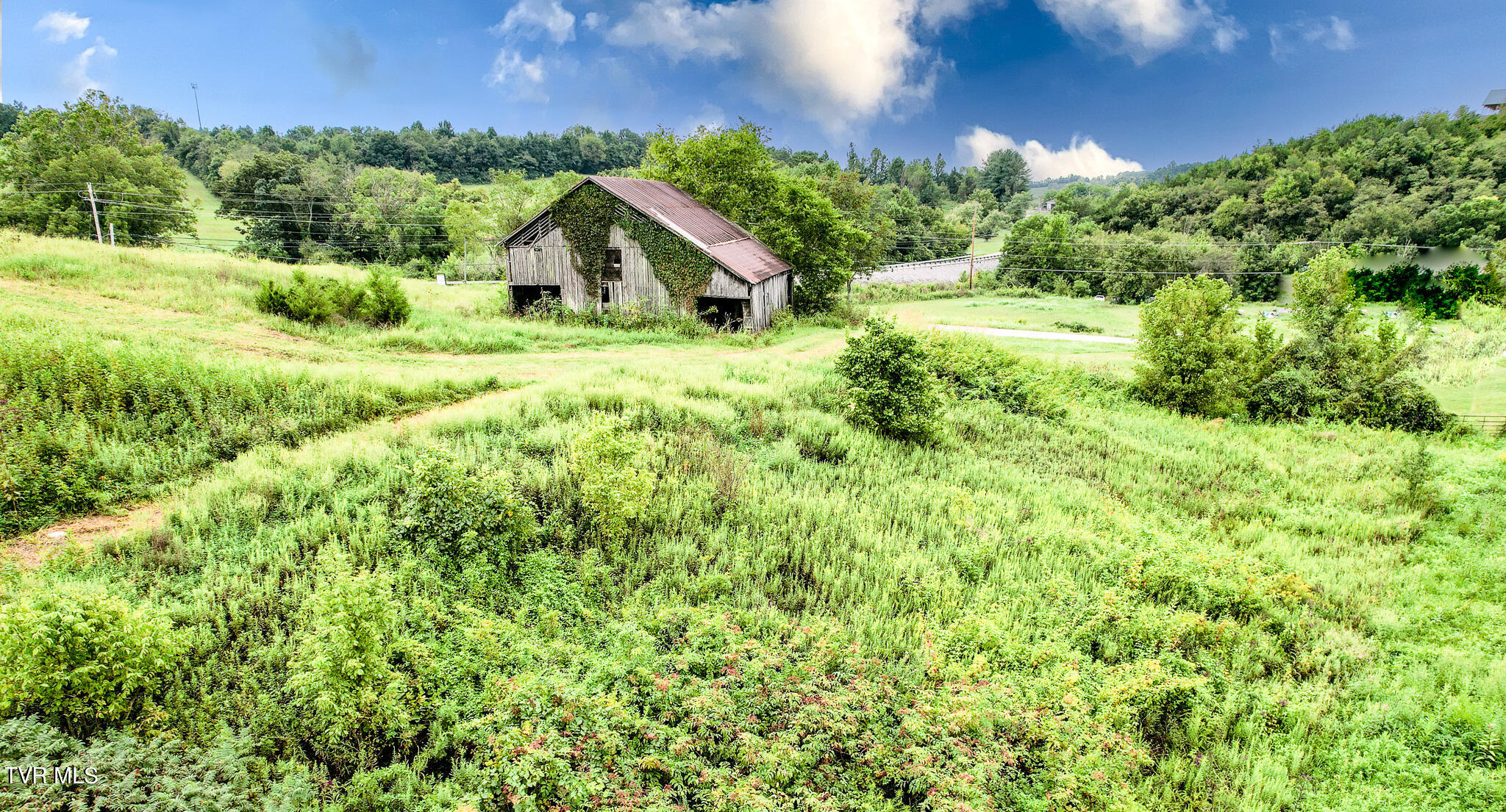 13.03 Baileyton Road Greeneville, TN 37745 - Photo 8 of 34 DJI_0786-Edit