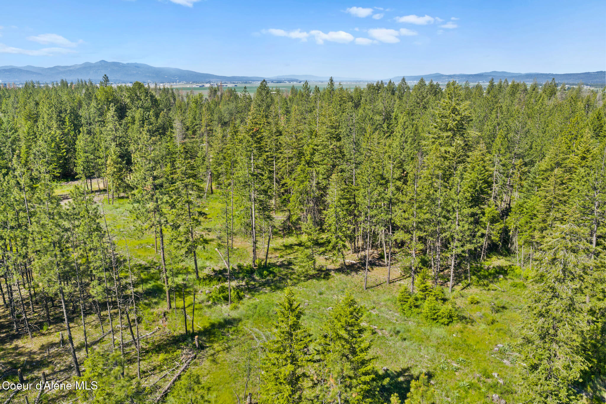 Nka East Rookery Road Hayden, ID 83835 - Photo 22 of 25 Wooded