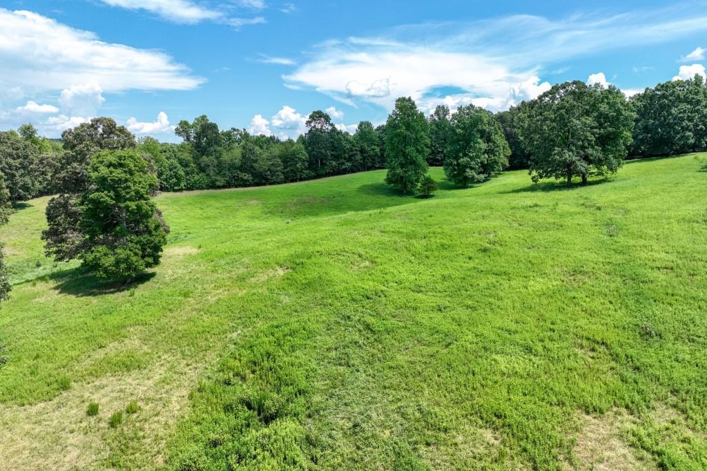 4854 Cagle Mill Road Lula, GA 30554 - Photo 14 of 20 a view of a grassy field with trees in the background