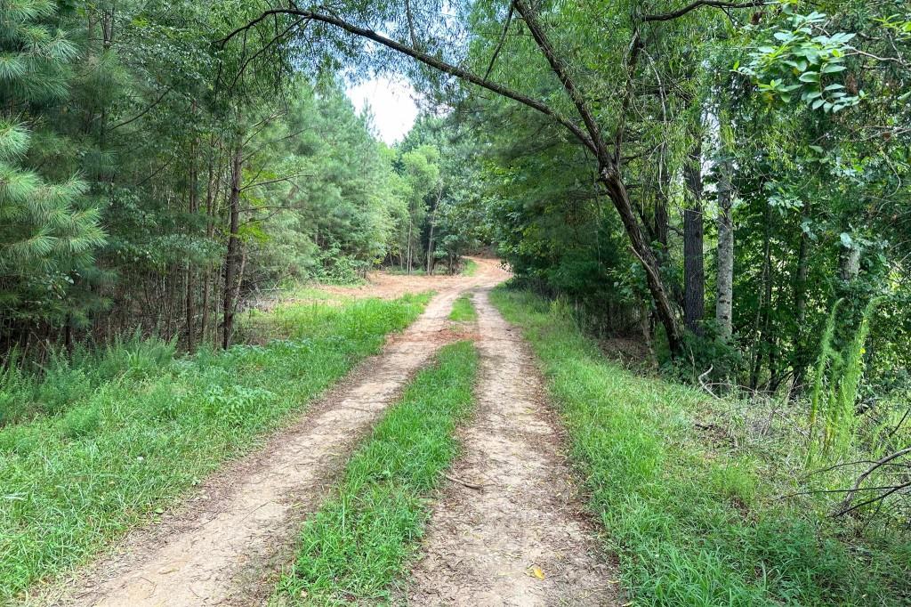 4854 Cagle Mill Road Lula, GA 30554 - Photo 4 of 20 a view of a pathway of a park