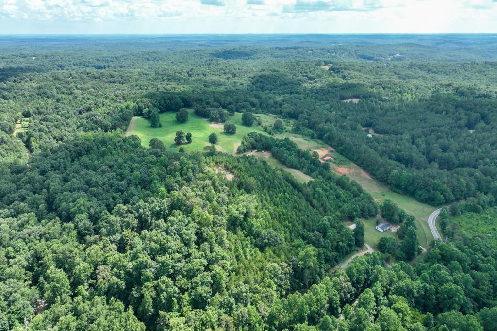 4854 Cagle Mill Road Lula, GA 30554 - Photo 6 of 20 a view of a green field with lots of bushes