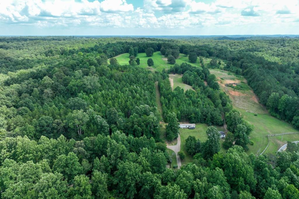 4854 Cagle Mill Road Lula, GA 30554 - Photo 7 of 20 a view of a lush green forest with lots of trees