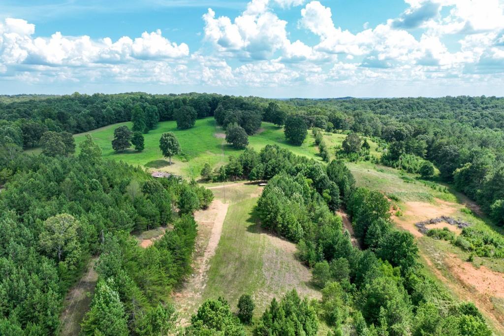 4854 Cagle Mill Road Lula, GA 30554 - Photo 9 of 20 a view of a lake with green space