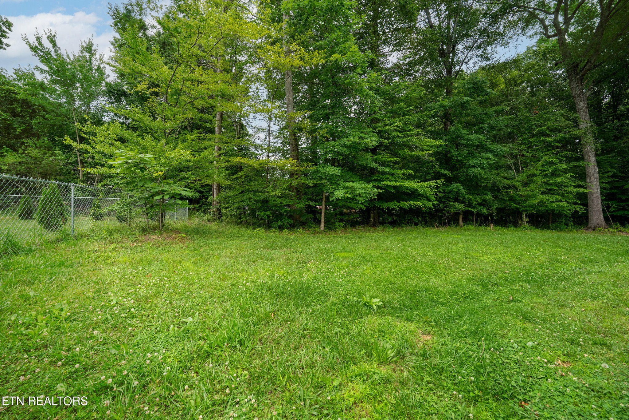 534 Shellbark Road Newport, TN 37821 - Photo 24 of 29 a view of a backyard