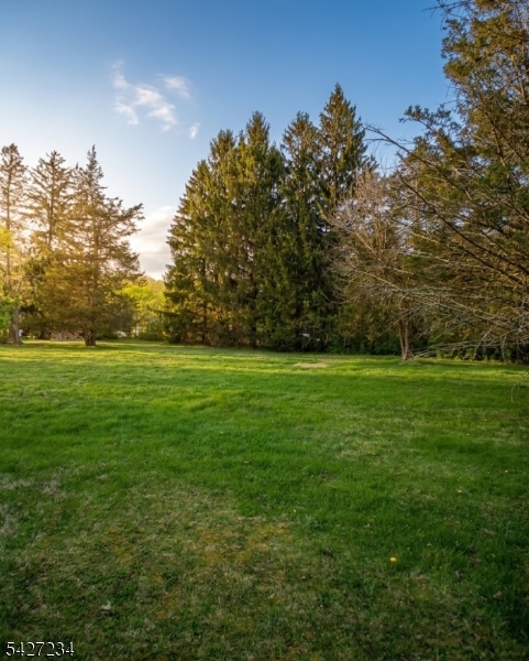 67 Woodland Road Randolph, NJ 07869 - Photo 2 of 4