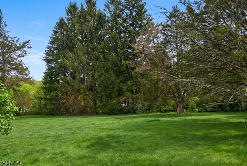 67 Woodland Road Randolph, NJ 07869 - Photo 4 of 4