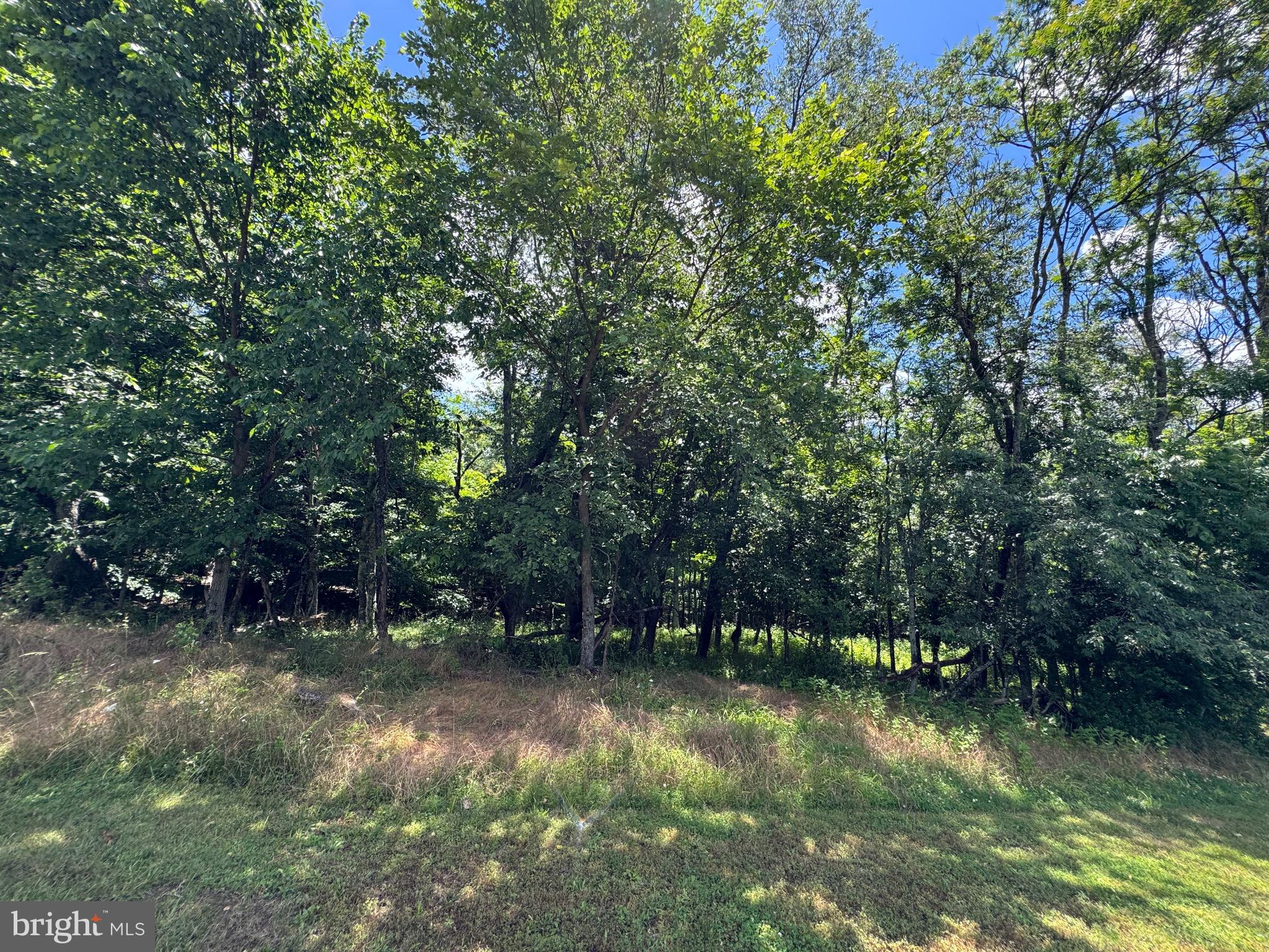 522 Unit Sand Mine Rd Corner Berkeley Springs, WV 25411 - Photo 3 of 13