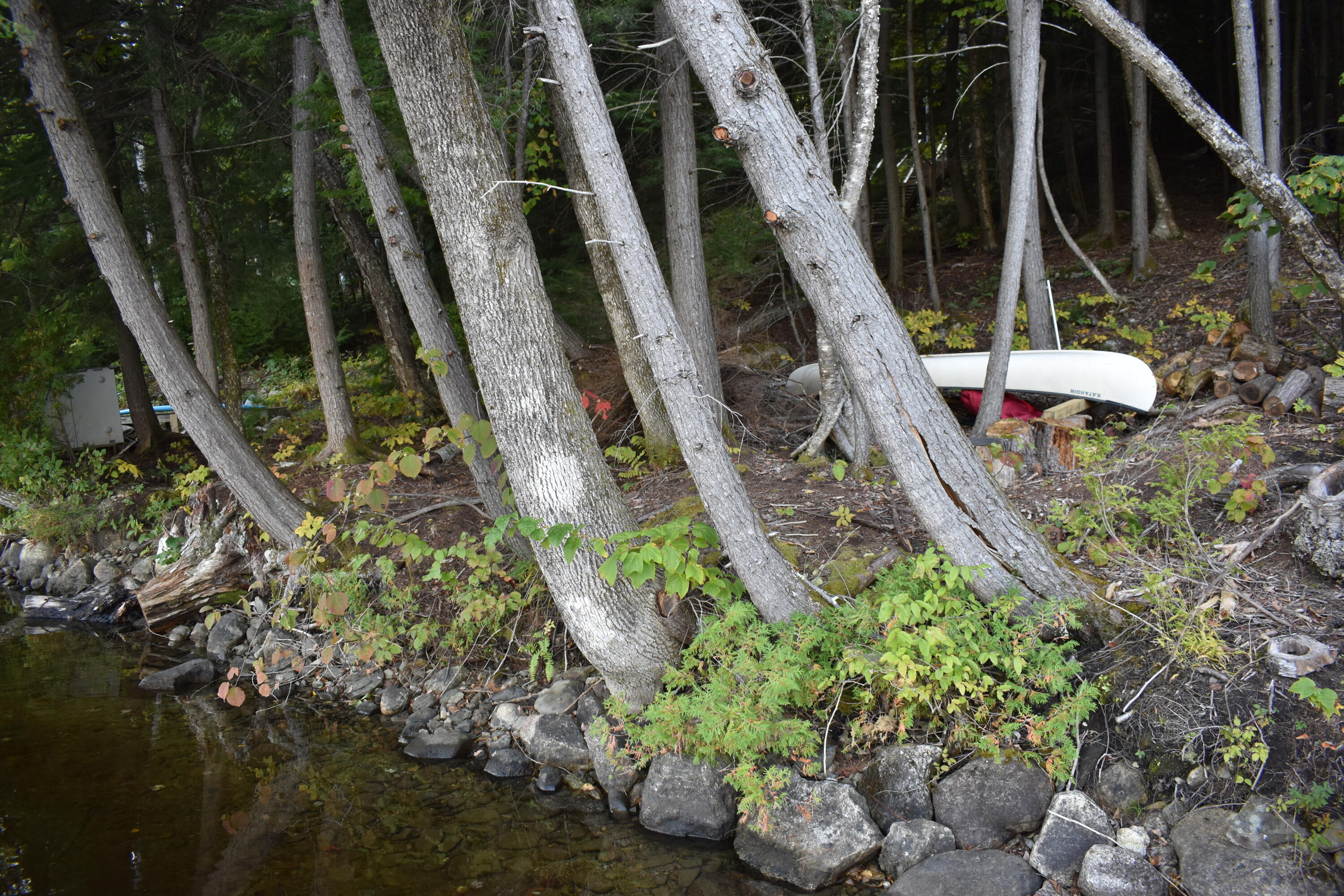 0 Herrin Woods Road, Unit 4 Vienna, ME 04360 - Photo 10 of 23 DSC_0284